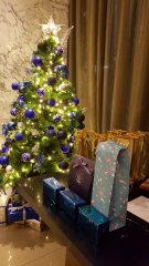 20171214_201129.jpg