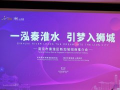 Nanjing_Qinhuai_Investment_2.jpg